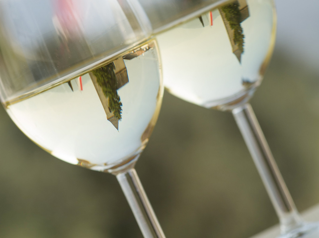 Panorama Tramin主图