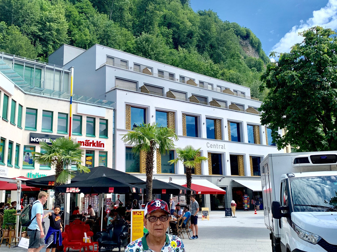 Government House of Liechtenstein景点图片