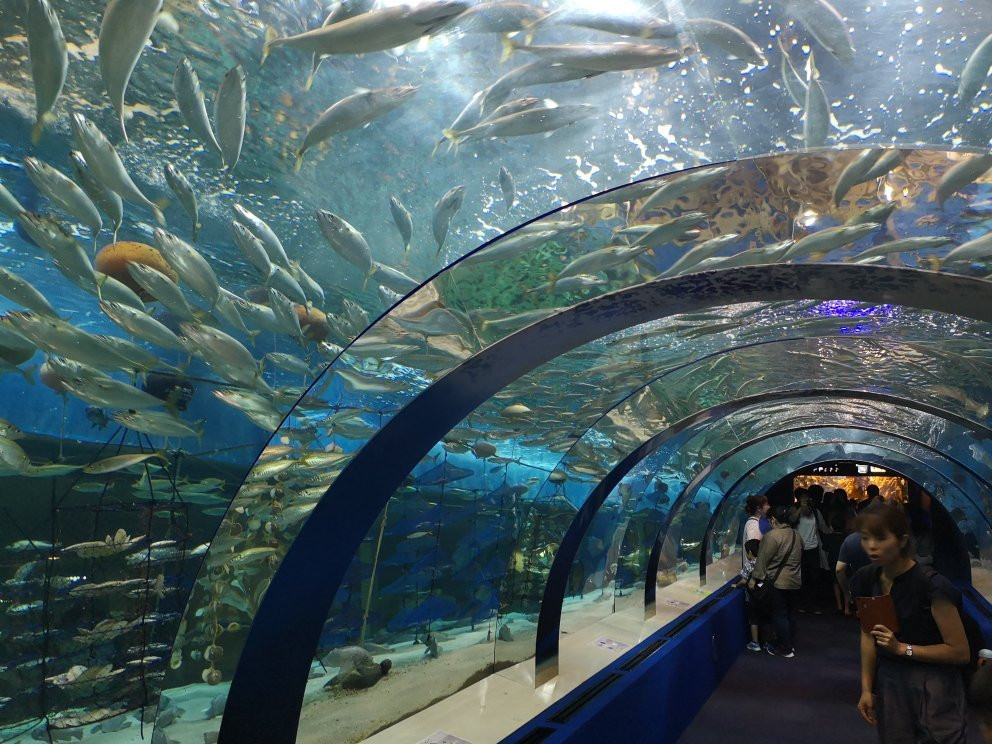 Aomori Asamushi Aquarium-青森市必去景点