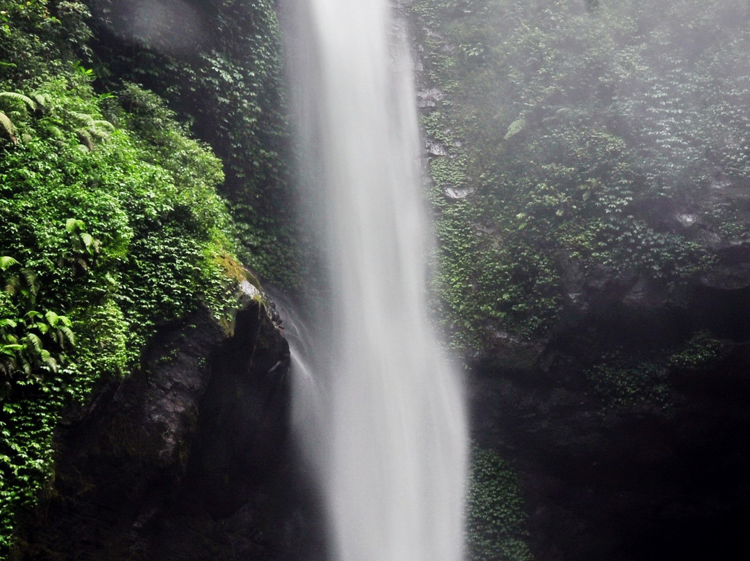 Coban Jodo Waterfall景点图片