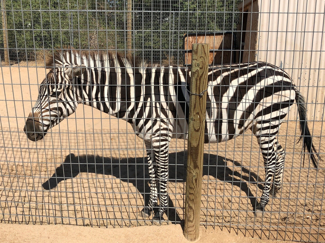 Hesperia Zoo-希斯皮里亚必去景点