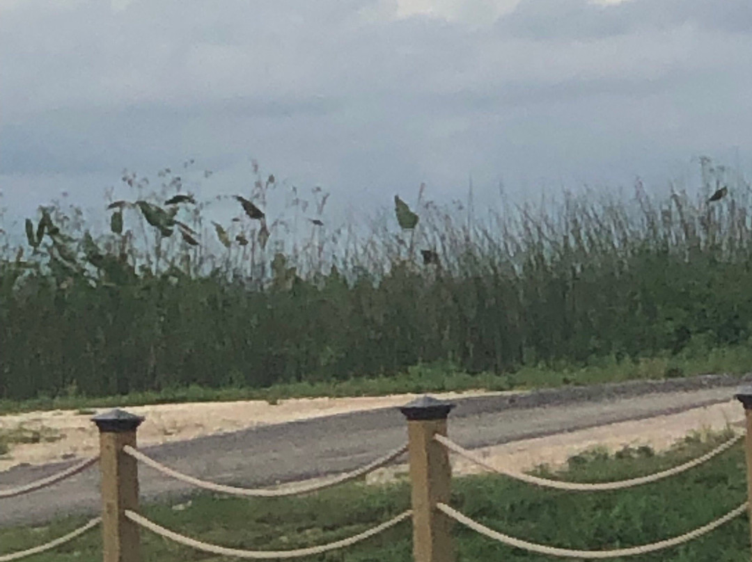 Beaumont Botanical Gardens-博蒙特必去景点