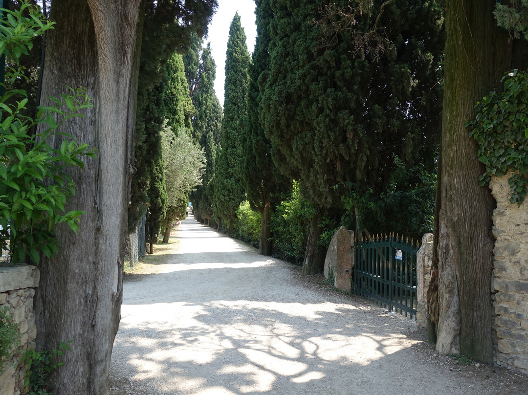 Villa Guarienti景点图片