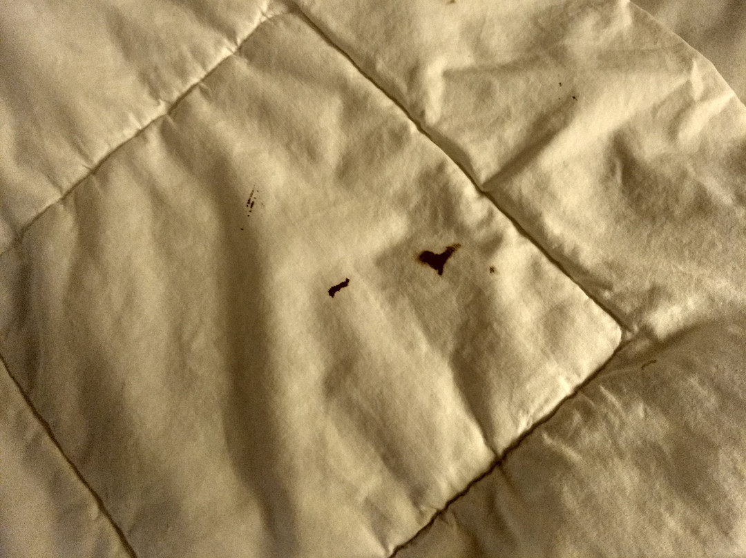 Apalachin Hotel主图