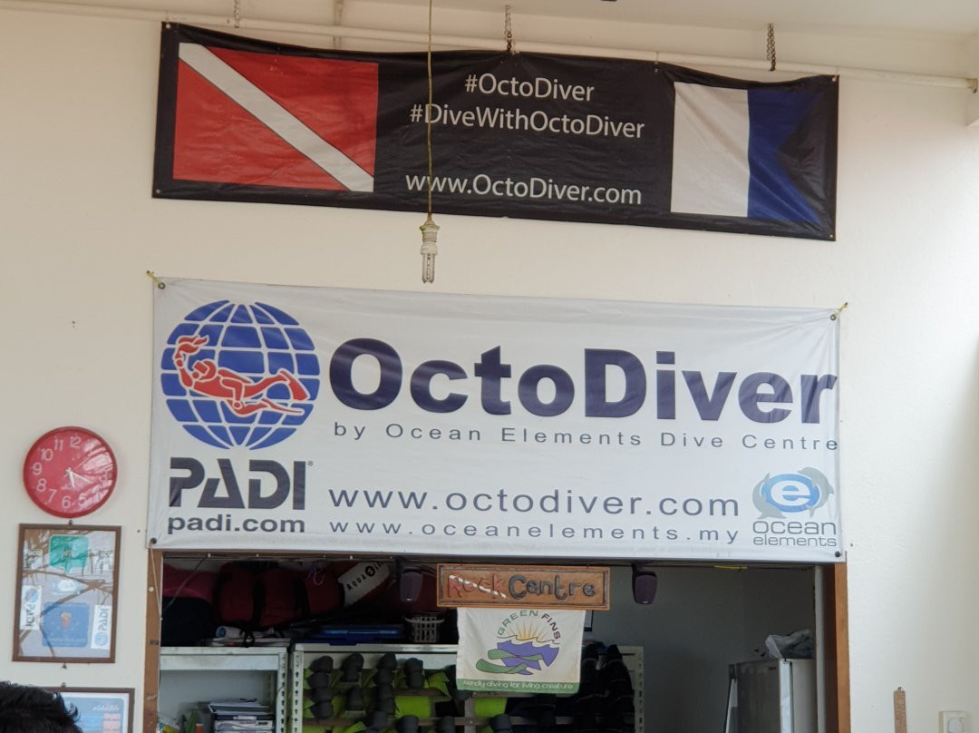 OctoDiver Dive Centre景点图片