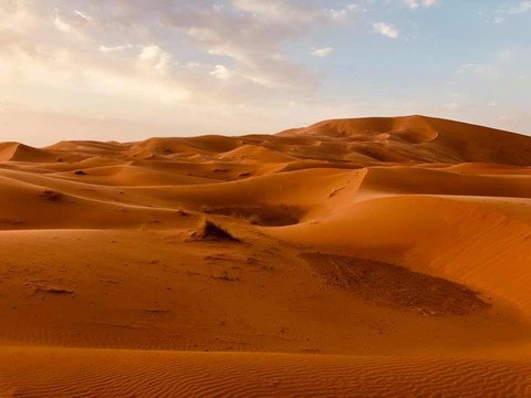 All Morocco Tours-非斯必去景点