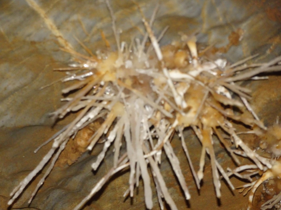Ochtinska Aragonite Cave-Ochtina必去景点