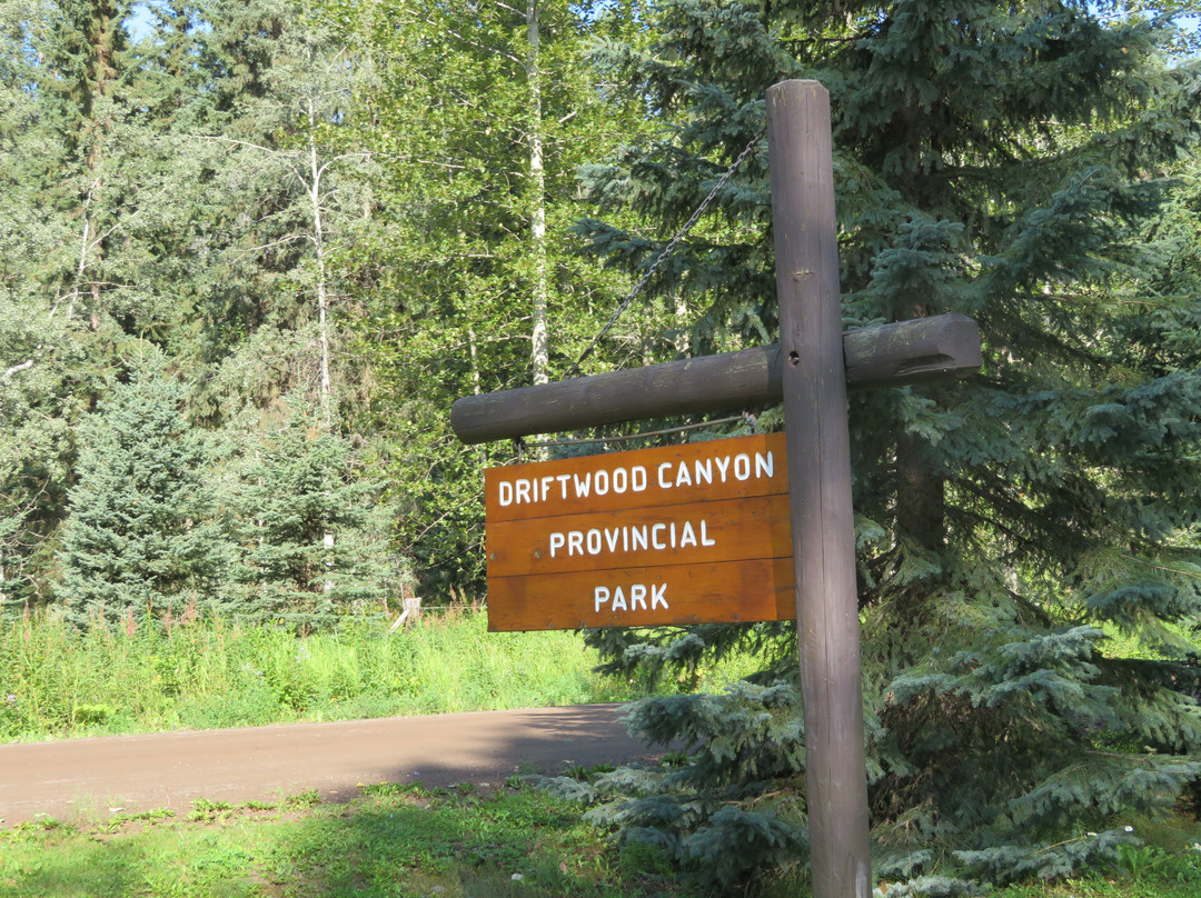 Driftwood Canyon Provincial Park景点图片