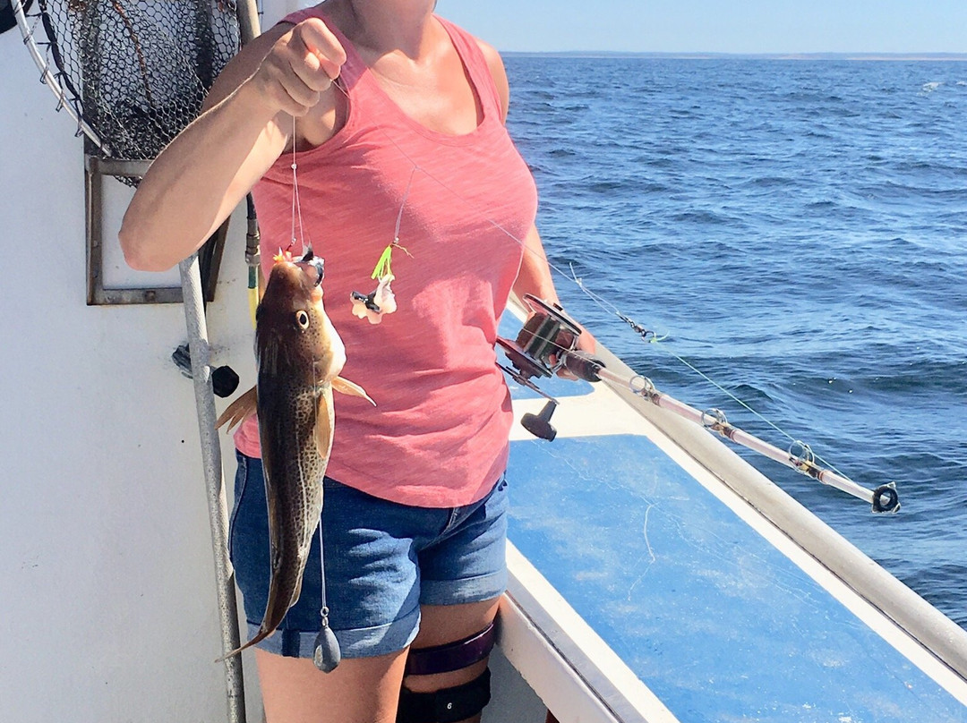 Campbell's Deep Sea Fishing-York必去景点