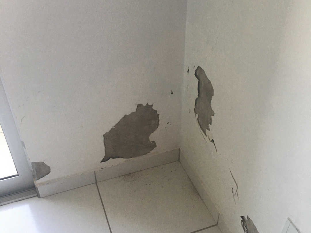 Golden Dolphin Grand Hotel主图