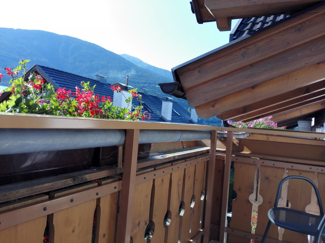 Pension Radmuller主图