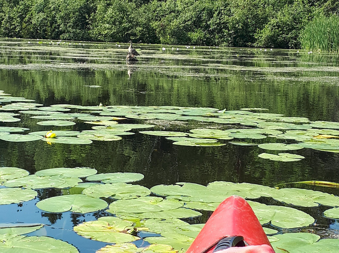 Drifters Outdoors Canoe & Kayak Rentals景点图片