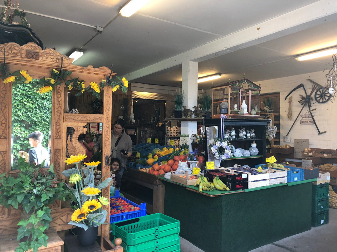 Bergerhof-哈廷根必去景点