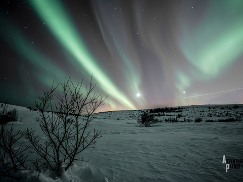 Adventure Patrol-雷克雅未克必去景点