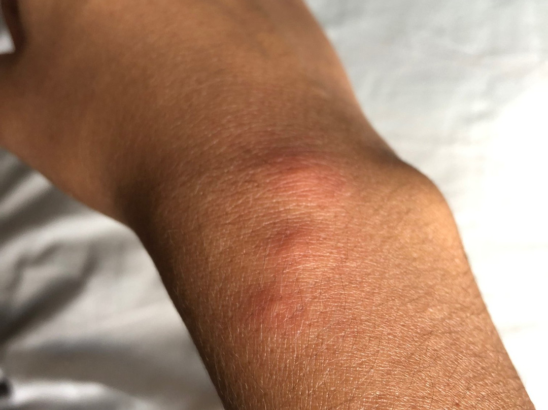 Red Roof Inn - Richmond South主图