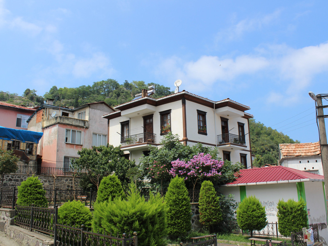Zeytinlik景点图片
