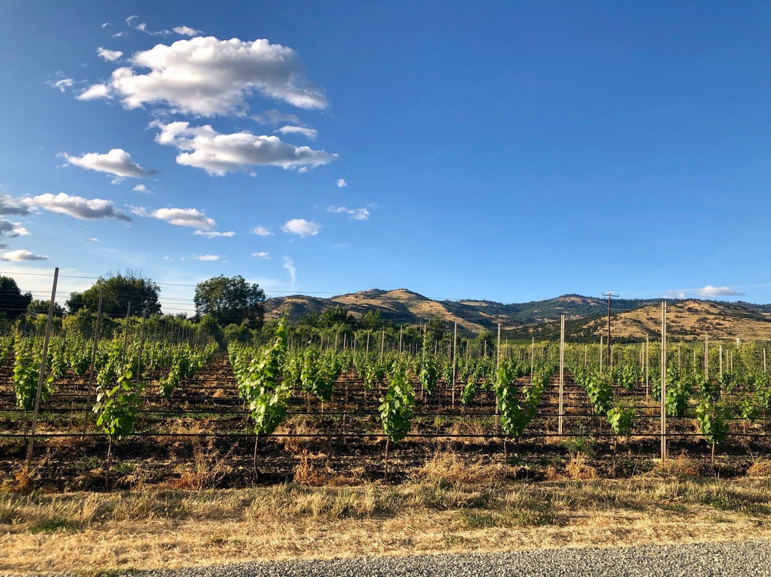 Naumes Suncrest Winery-Talent必去景点