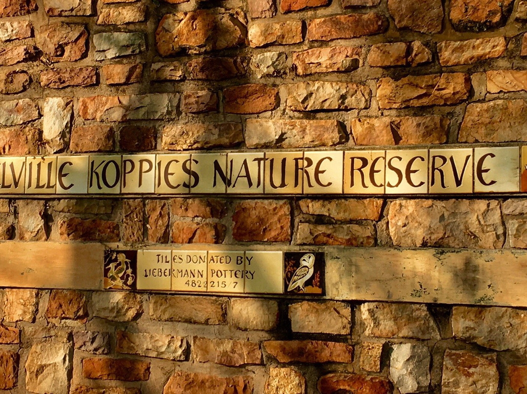 Melville Koppies Nature Reserve景点图片