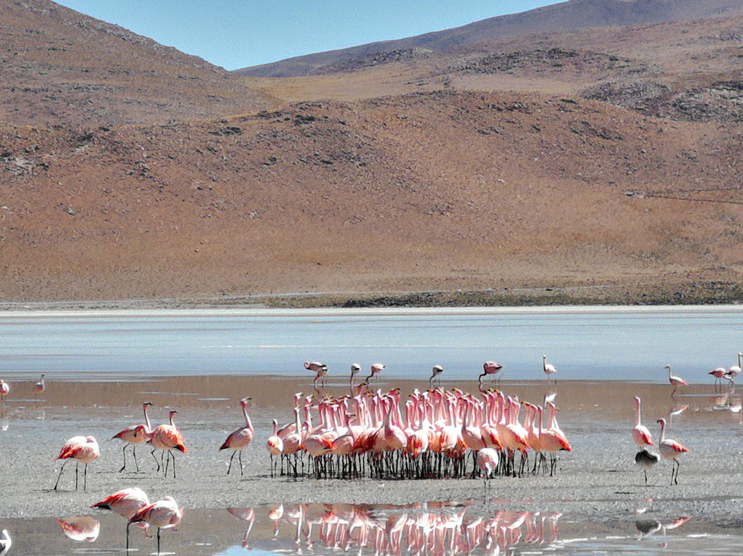 Uyuni Saltiest Day-波托西城必去景点