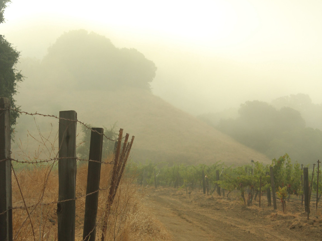 RustRidge B&B / Winery主图