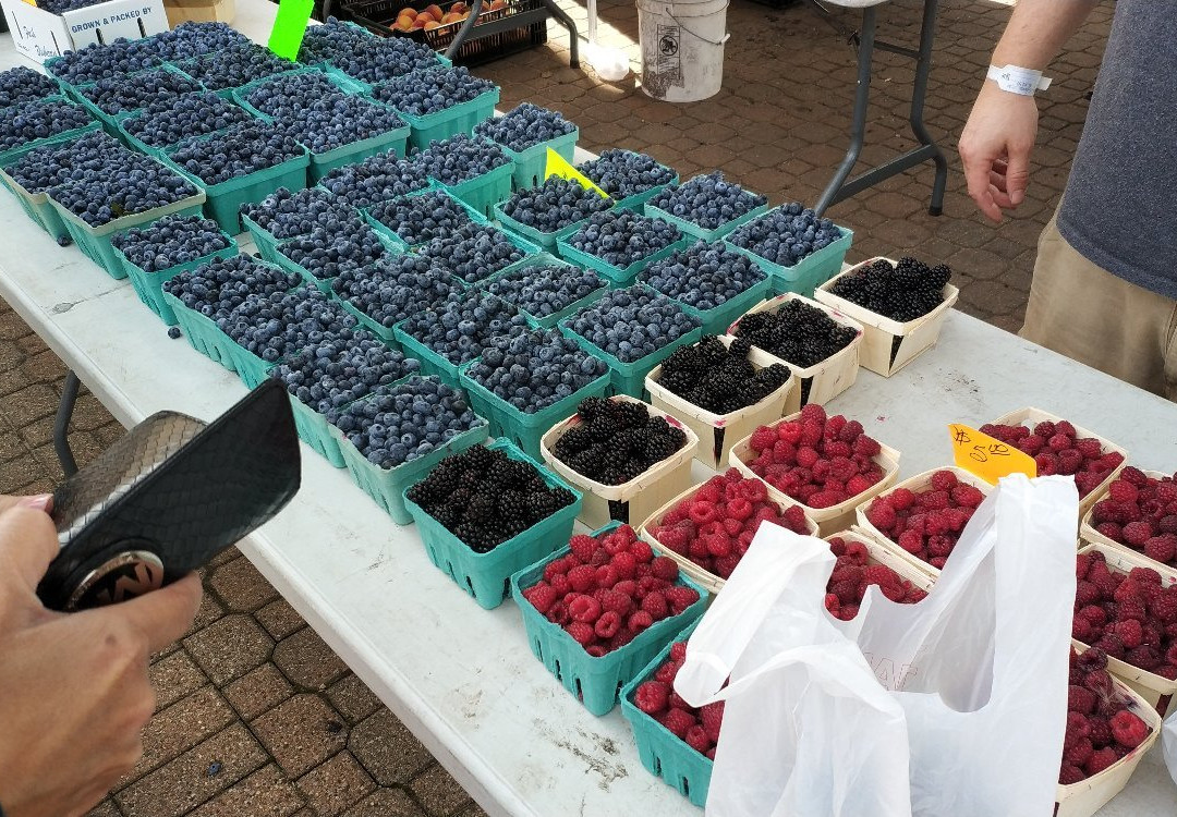 Holland Farmers Market景点图片