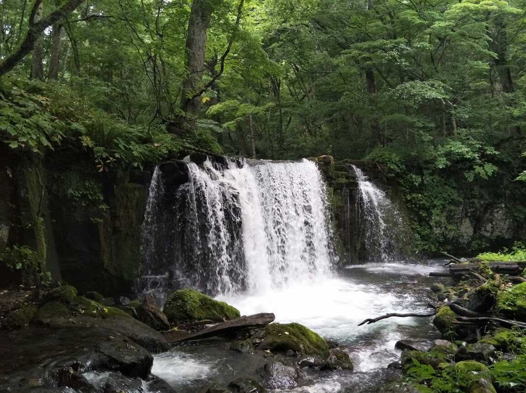 Choshi Otaki Waterfall景点图片