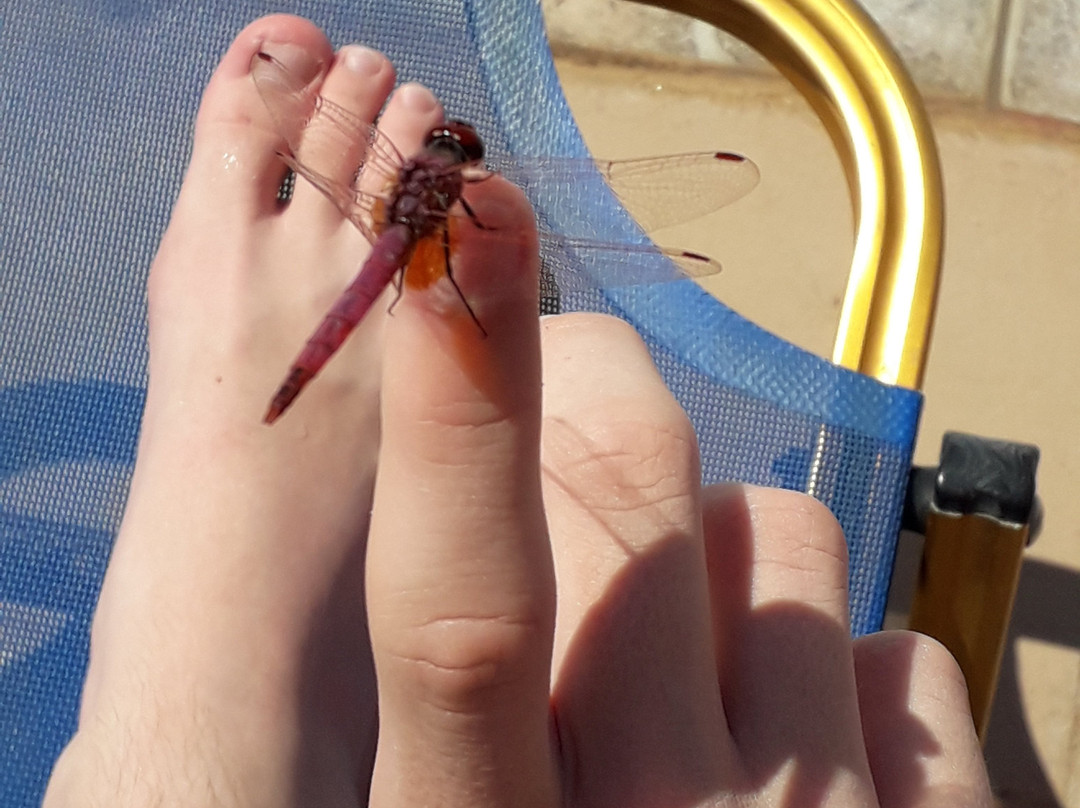 Trapezaki Village主图