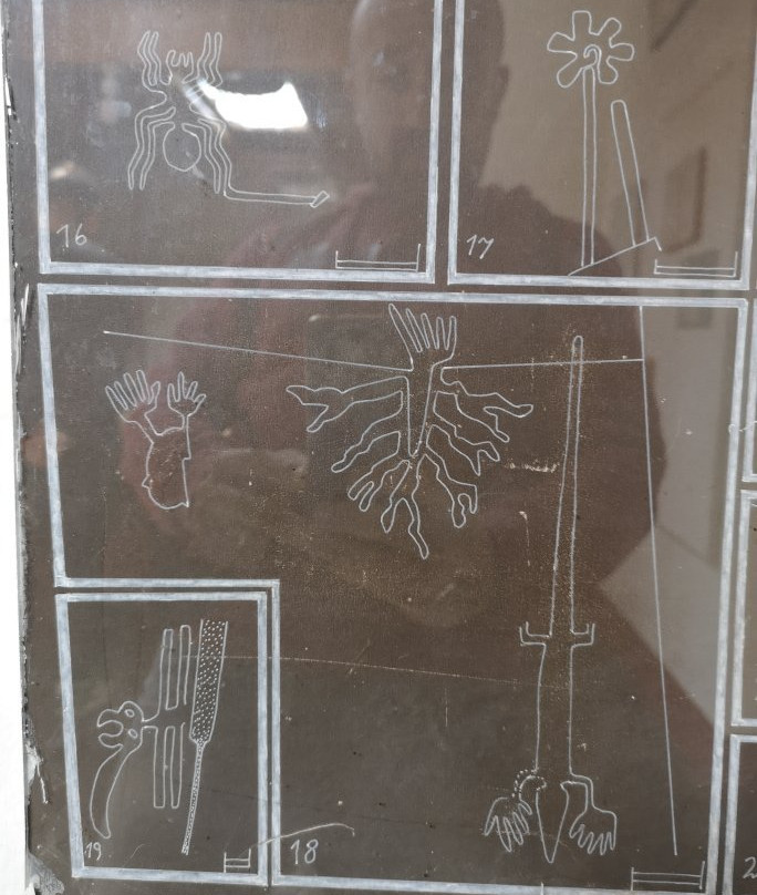 Casa-Museo Marí Reiche-纳斯卡必去景点