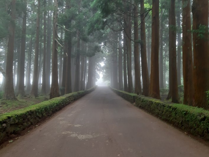 Parque Florestal das Sete Fontes-Sao Jorge必去景点