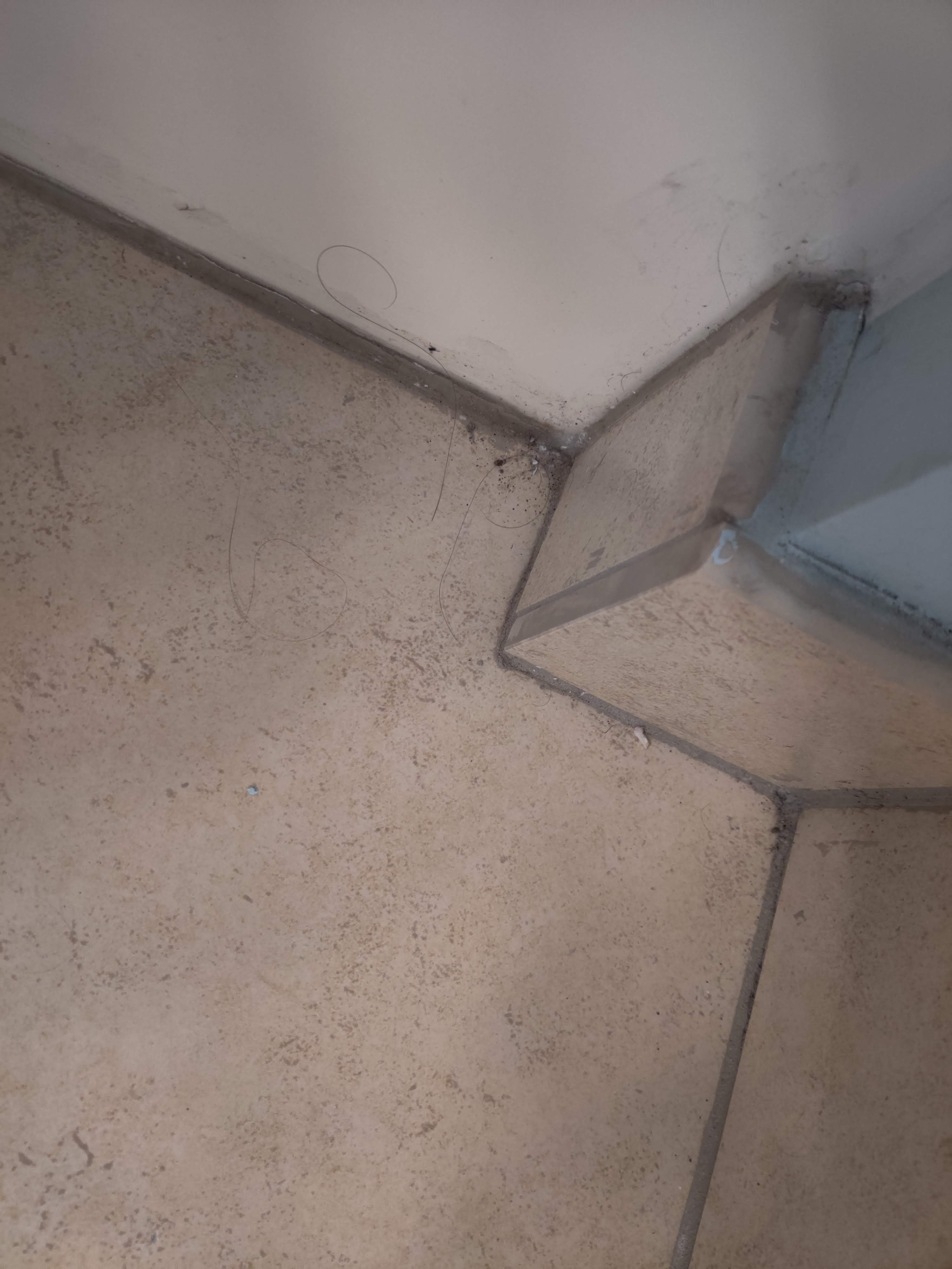 Sonesta Simply Suites Cleveland Westlake-浴室