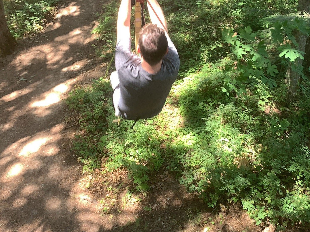 Tree to Tree Adventure Park-Gaston必去景点