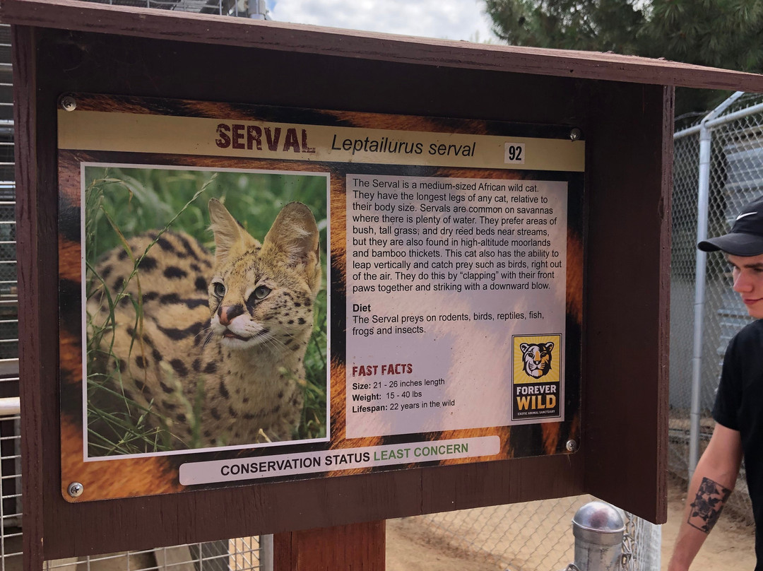 Forever Wild Exotic Animal Sanctuary-Phelan必去景点