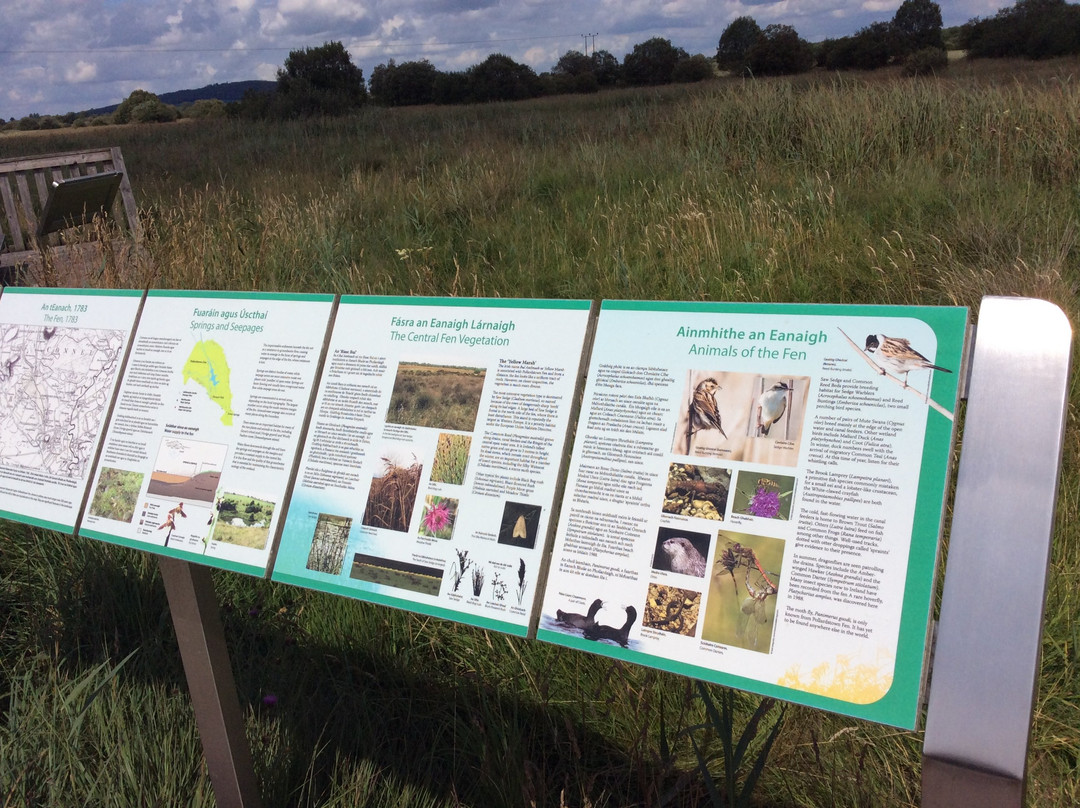 Pollardstown Fen Nature Reserve景点图片