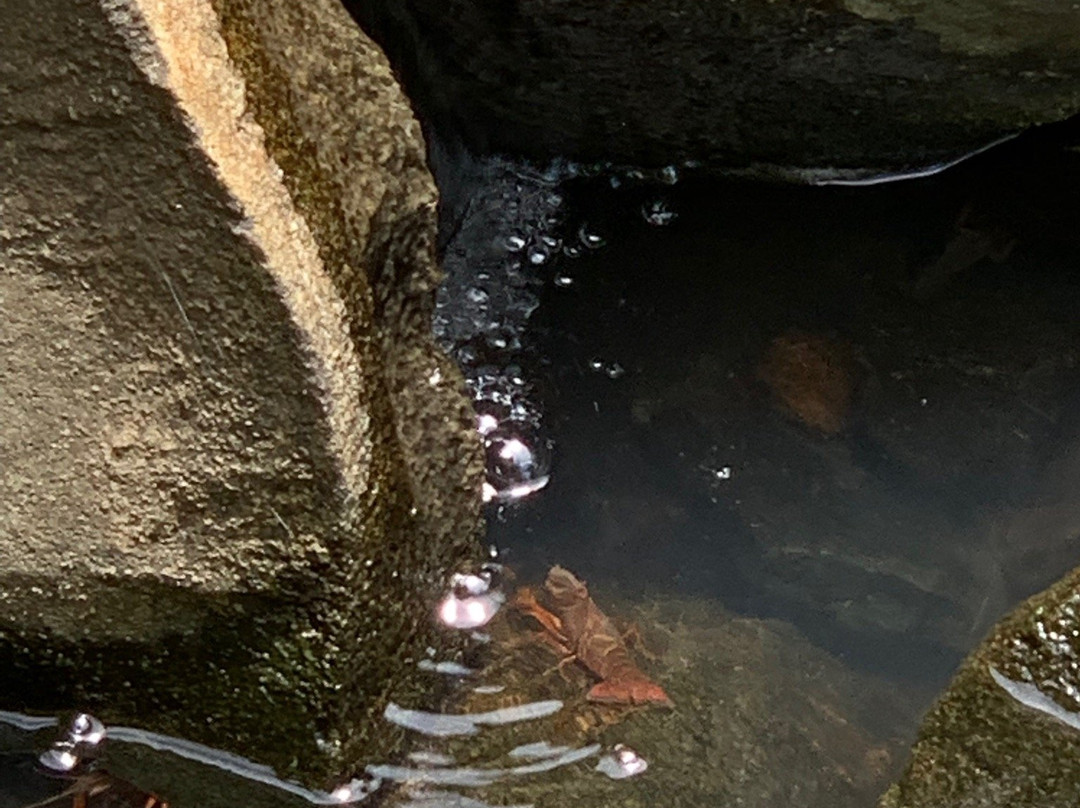 Ulupo Heiau State Monument-科纳必去景点
