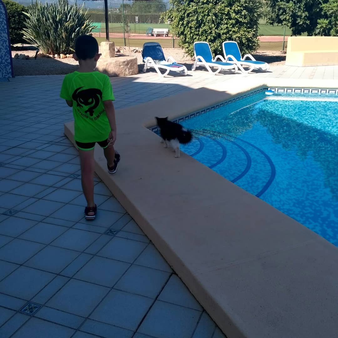 Pension Los Caballos-官方