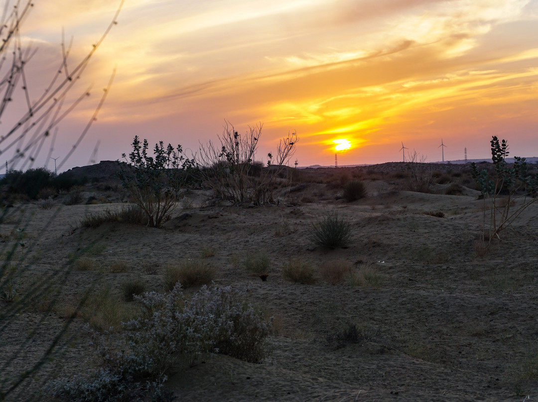 大摩达沙漠营地主图