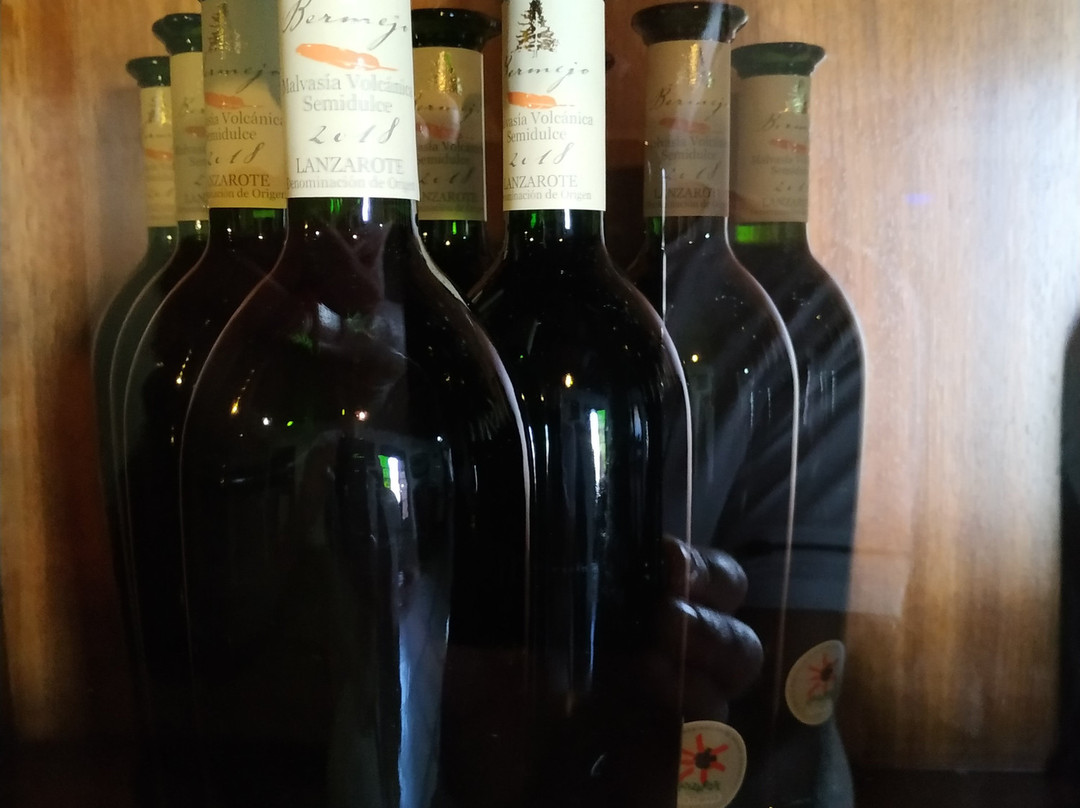 Bodegas Los Bermejos-San Bartolome必去景点