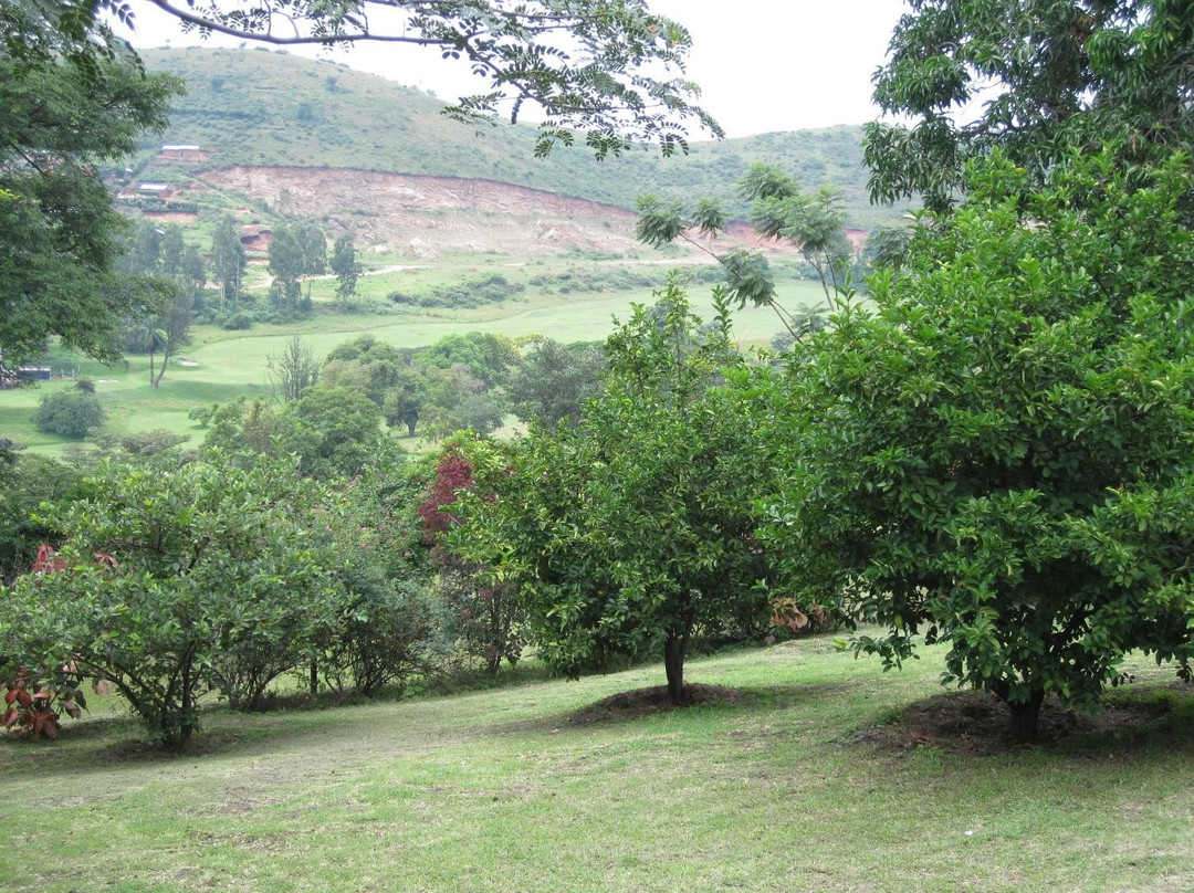 Hotel Margherita主图