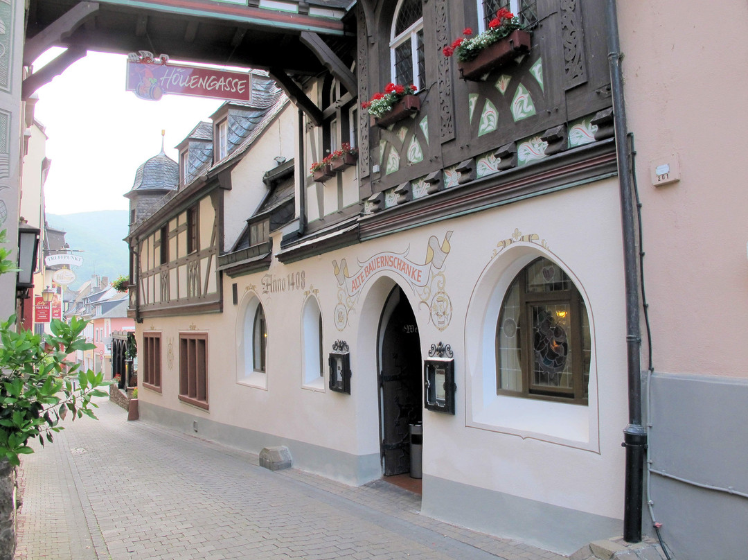 老布尔恩斯汉克山上酒店主图