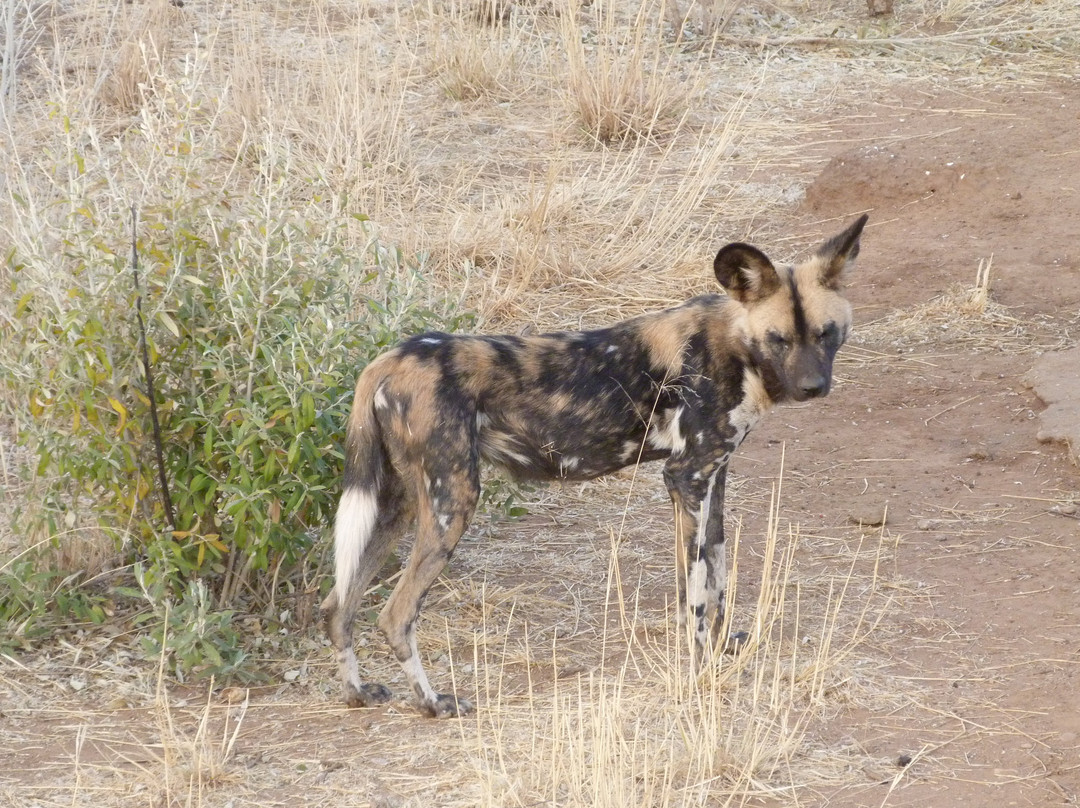 Naankuse Wildlife Sanctuary景点图片