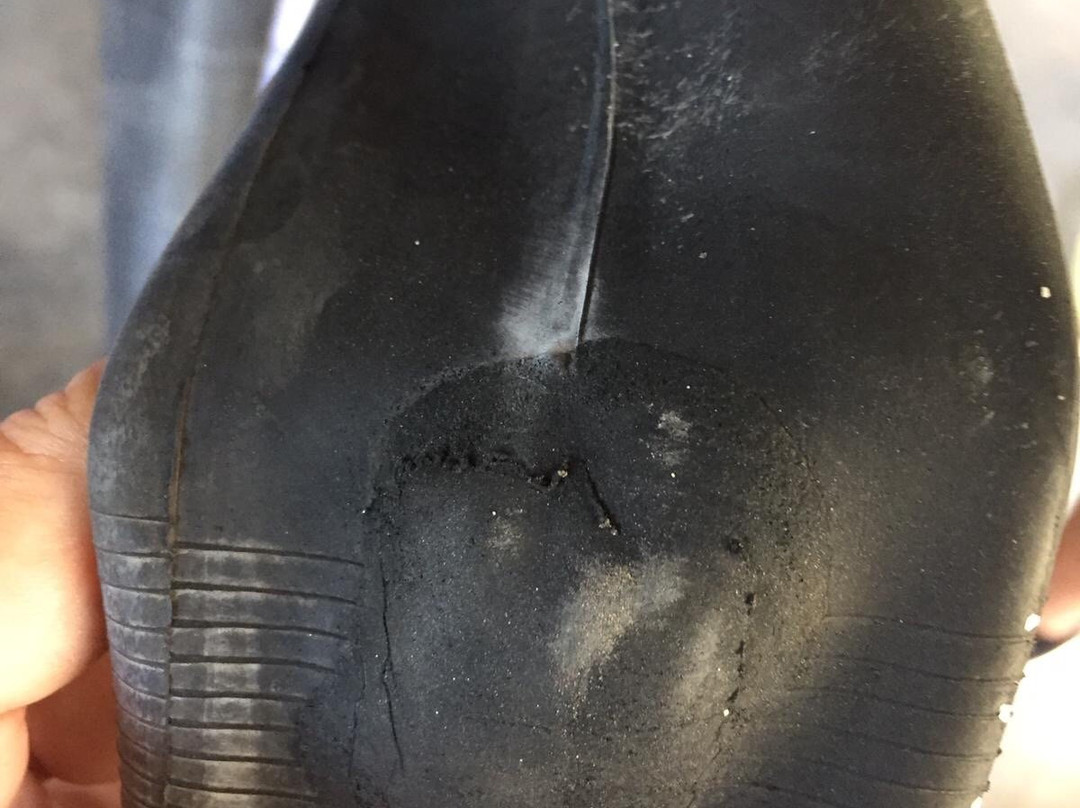 Green Monkey Bike Rental-锡基霍尔必去景点