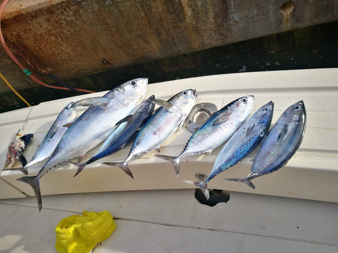 Billfisher Deepsea Fishing-布里奇顿必去景点