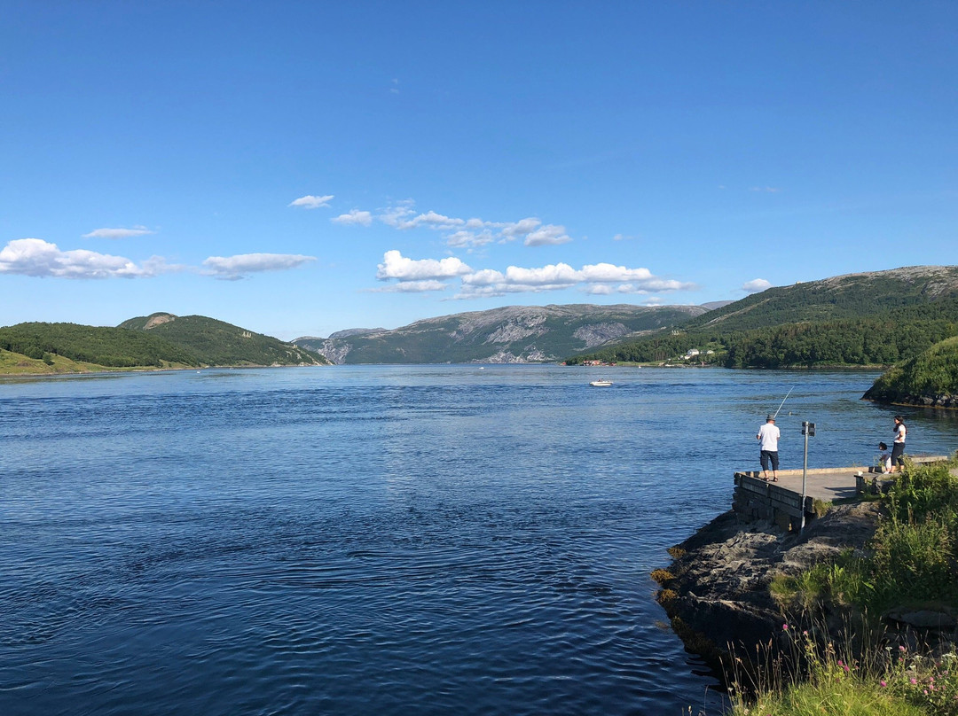 Saltstraumen Brygge主图