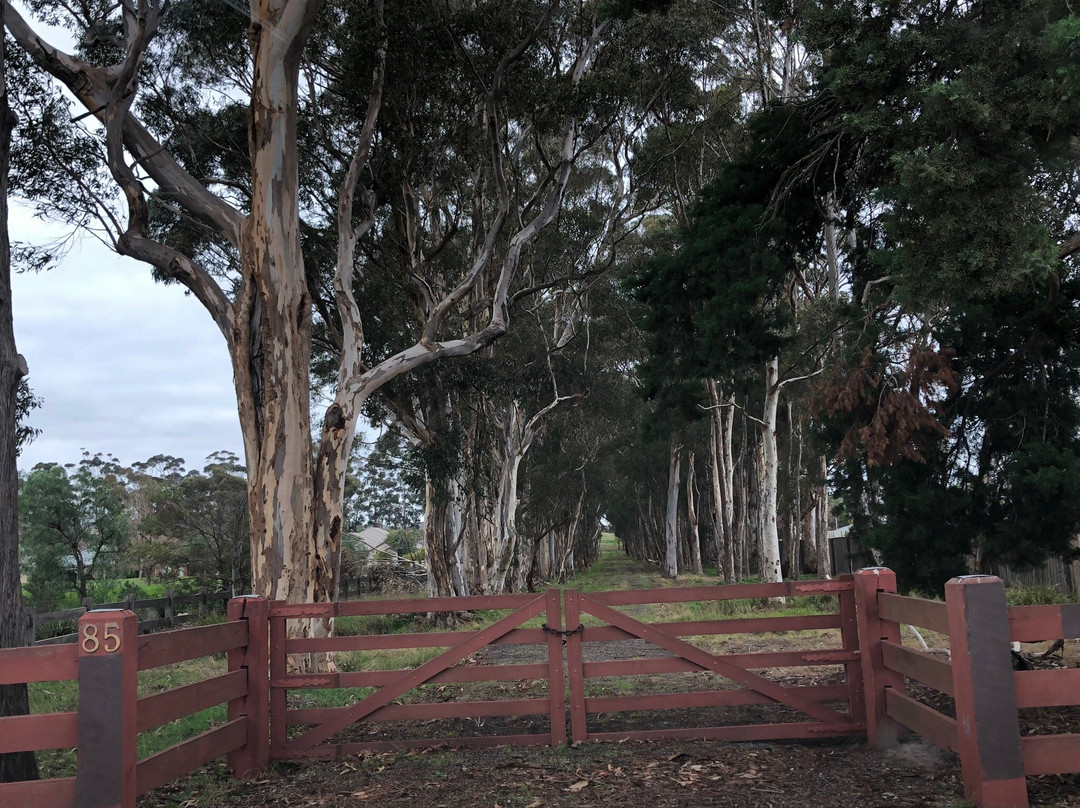 Heritage Boulevard Playground景点图片