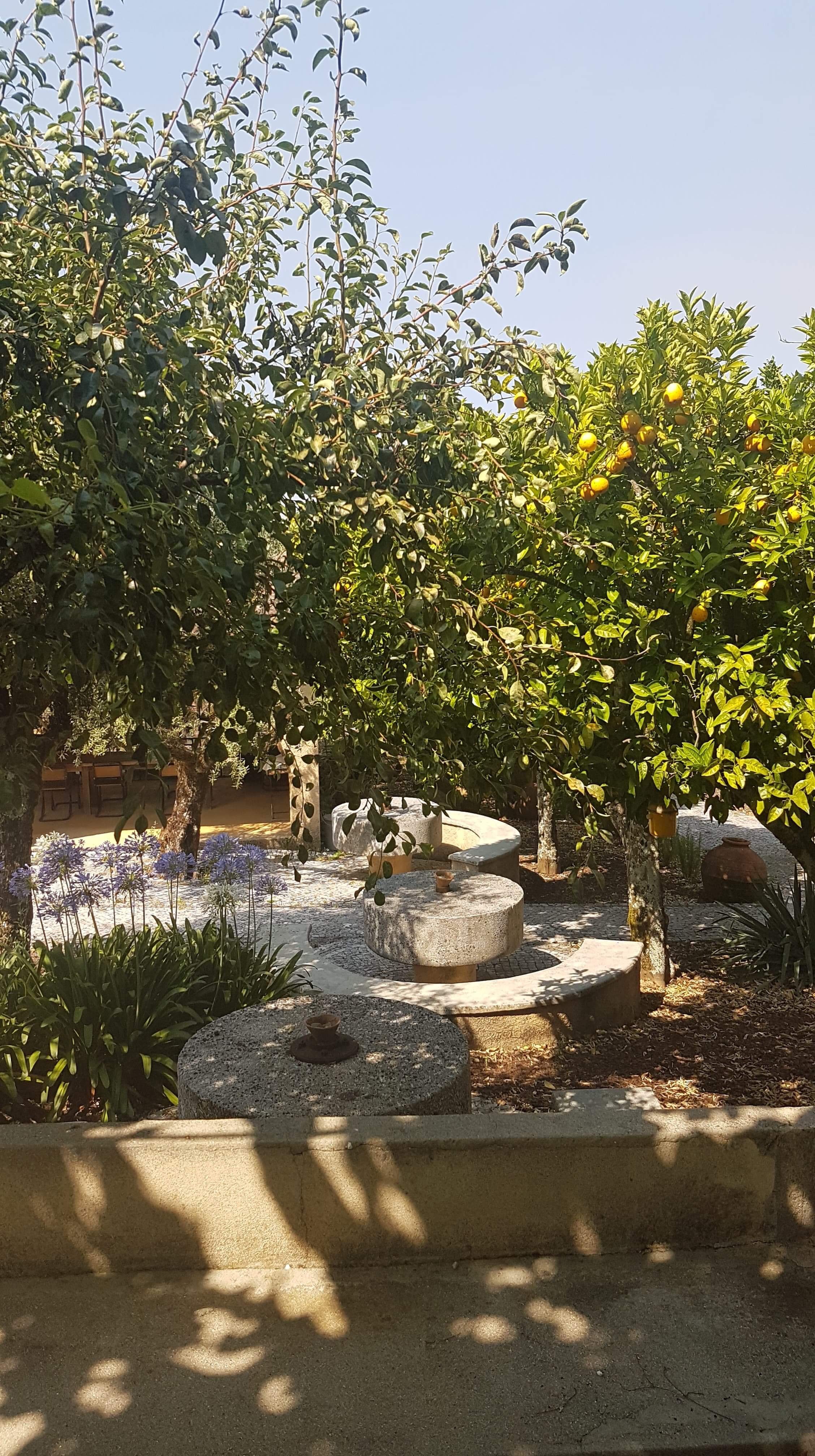 Bonjardim Boutique Hotel-浴室