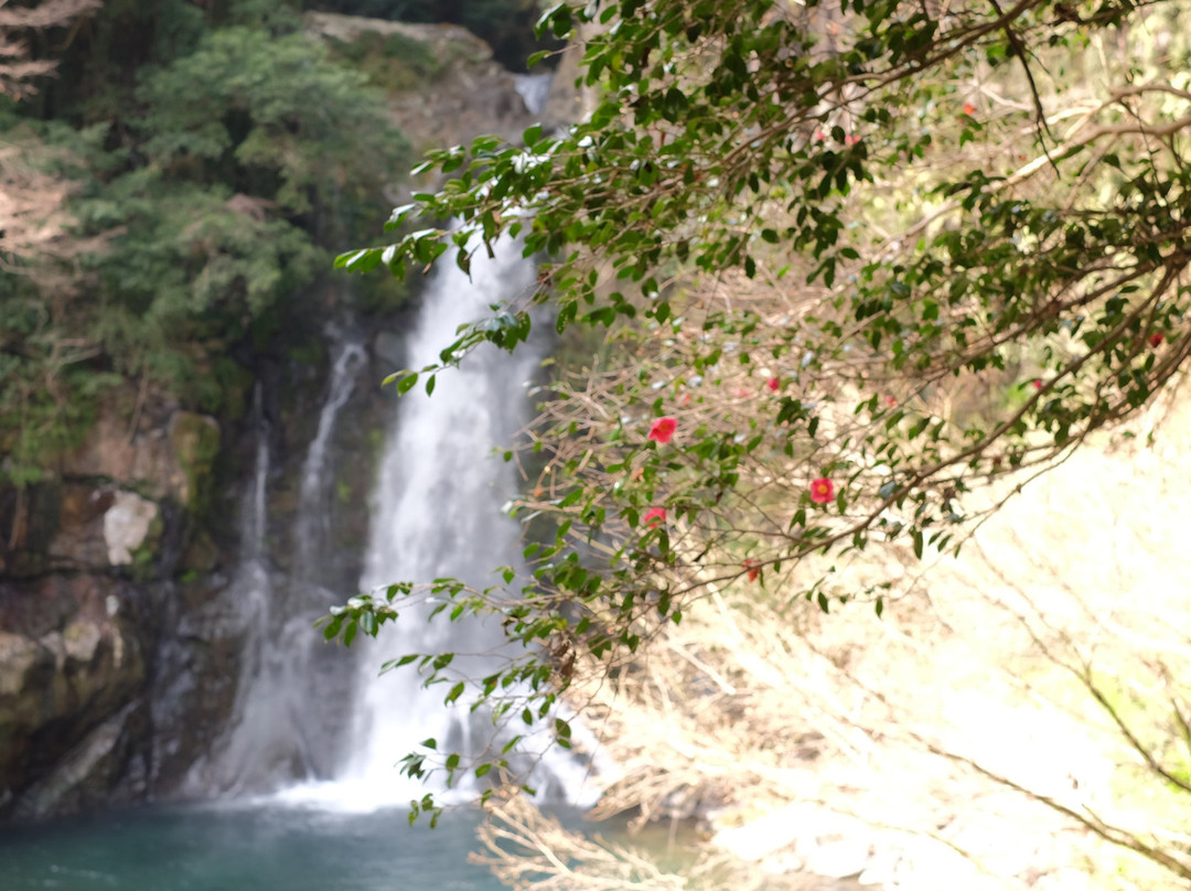 Otaki Falls景点图片