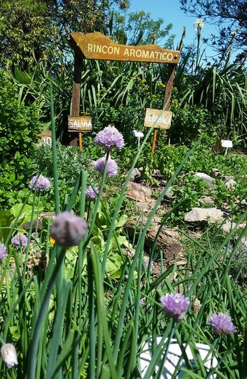 El Paraiso-Carrizales必去景点