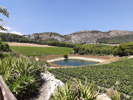 Agriturismo Tenute Pispisa Segesta主图