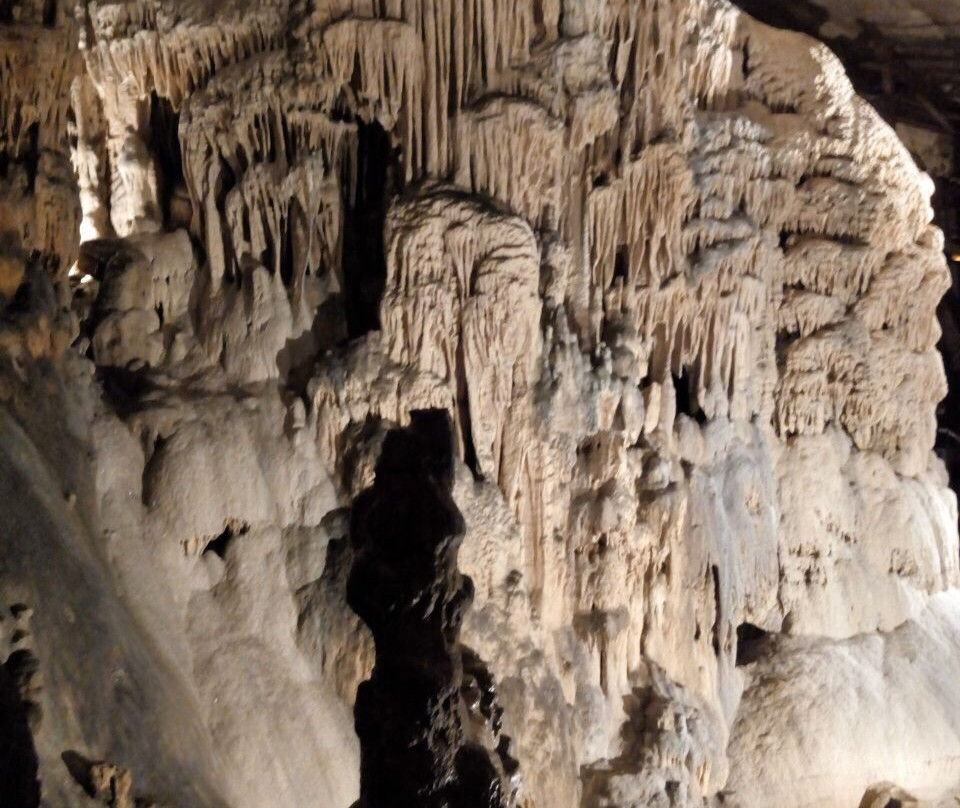 Escale Aventure景点图片