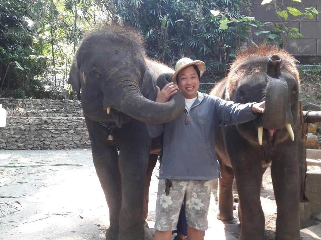 Tom Chiangmai Driver-清迈必去景点